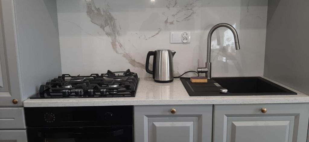 Apartment In The Heart Of Білосток Екстер'єр фото